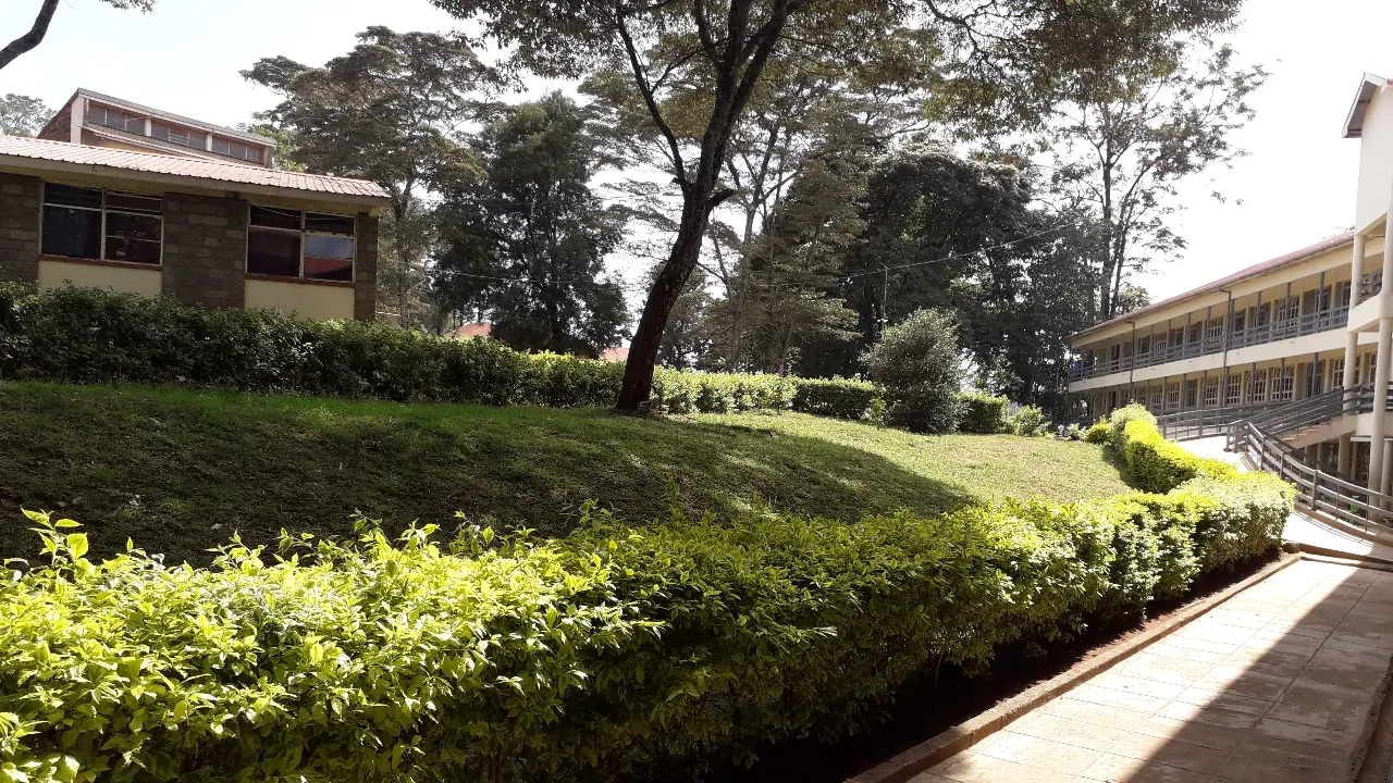 Boarding and classroom blocks at Alliance Girls' High School
