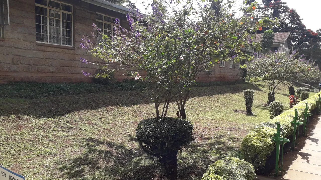 Tended gardens and hedges