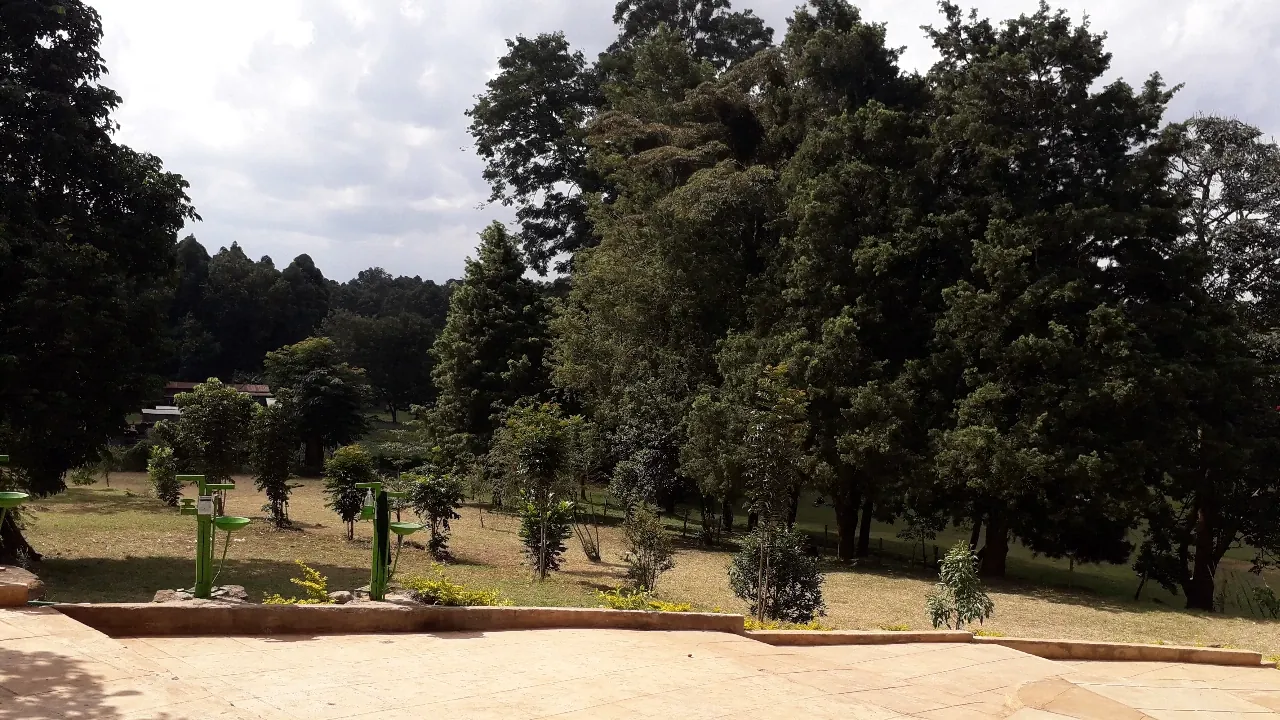 Open grounds and mature trees on campus